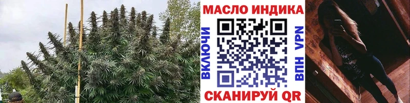 Дистиллят ТГК THC oil  Новоалександровск 