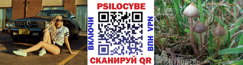 кракен рабочий сайт  даркнет сайт  Новоалександровск  Псилоцибиновые грибы MAGIC MUSHROOMS 
