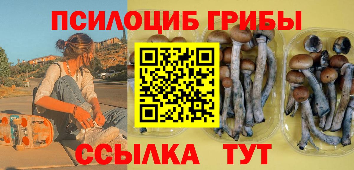 Галлюциногенные грибы Magic Shrooms Новоалександровск