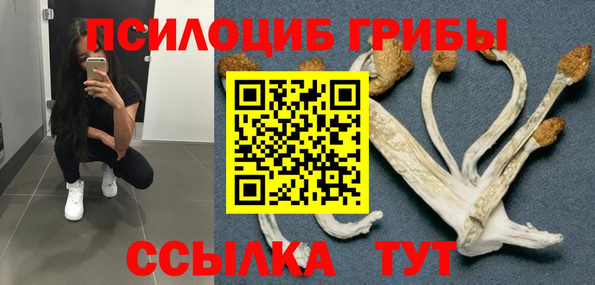 Новоалександровск  Галлюциногенные грибы ЛСД  Вход с VPN  Псилоцибиновые грибы GOLDEN TEACHER 